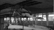 A giant whale skeleton sits in an empty room with it;s jaw bone on the floor.